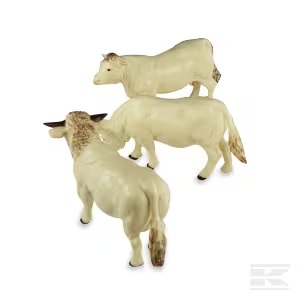 Britains Cow Set Charolais